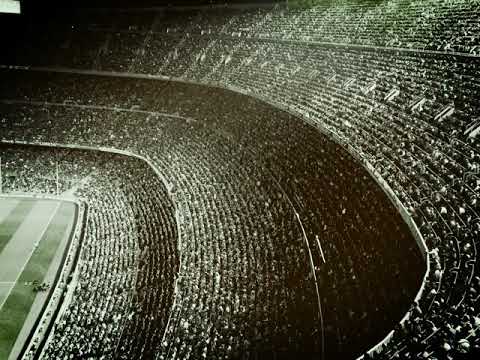 Alan Walker feat. ASAP Rocky - Live Fast