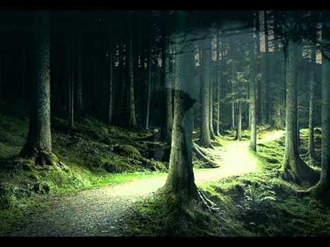 Wish You Were Here - Within Temptation