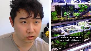 Local Fish Stores in Switzerland are INSANE | Fish Tank Review 345