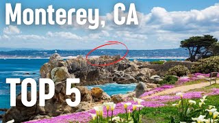 Top 5 Things To Do In Monterey,&nbsp;CA