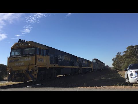 Pacific National 5PM5 NR95 NR94 pass Pratt Road, Korunye