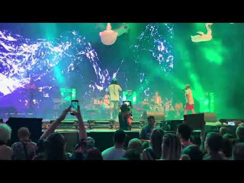 Irie Maffia - The Journey 2023.08.03. Budapest Park