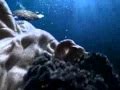 Реклама Ariston Aqualtis - Подводный мир (Underwater World TV ...