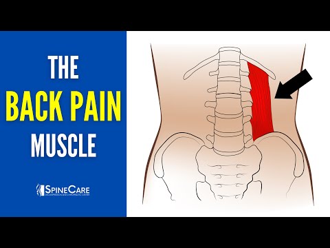 Release THIS Muscle to Fix Your Lower Back Pain