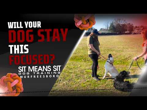 Training Video