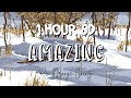 (1 HOUR w/ Lyrics) AMAZING by Rex Orange County 