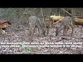 Adventure Quenchers Episode 2 Bays Mountain Park