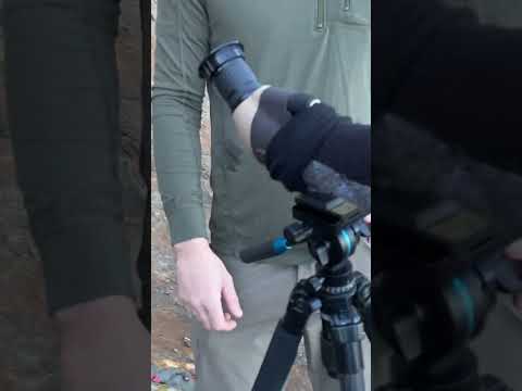 Best Budget Spotting Scope: Athlon Talos 20-60x80