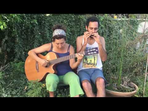 Reiach Tapuach Odem Shani - Harmonica + Guitar