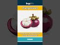 mangosteen - a round purple fruit with... video thumbnail