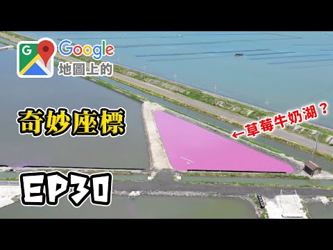 英雄日常Heroisme - 台南七股草莓牛奶湖