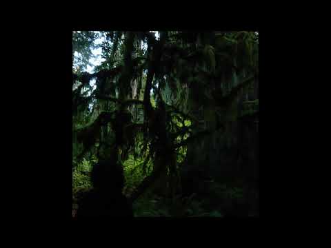 Thumbnail for Mount Eerie - Live at the Department of Safety in Anacortes, Wash. Oct. 30th 2006 by Mount Eerie