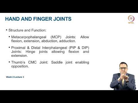 Functional Anatomy of Upper extremity