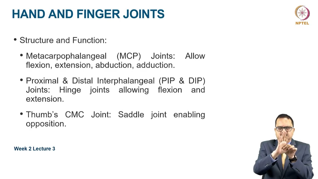 Functional Anatomy of Upper extremity