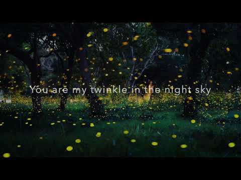Lightning Bug video