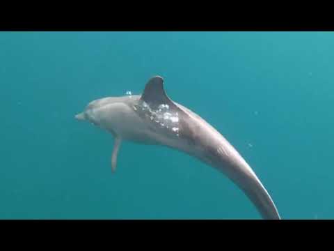 Find Adventure in Tobago