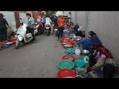 Morning Daily LifeStyle of Vendor Selling Food - Walk Around Street Food Market @Takmao Thmey Market