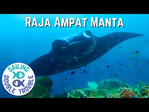 Scuba Diving in  Raja Ampat EP37