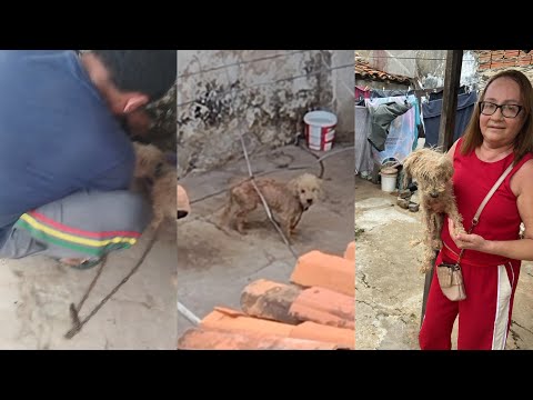 Flagrante de crueldade em Sousa: gato amarrado e cão doente levam à prisão de suspeito; Polícia e ONG salvam animais em sofrimento extremo, veja vídeo