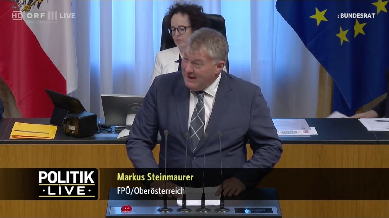 Markus Steinmaurer - Unterstützungsfondsgesetz - 25.6.2026