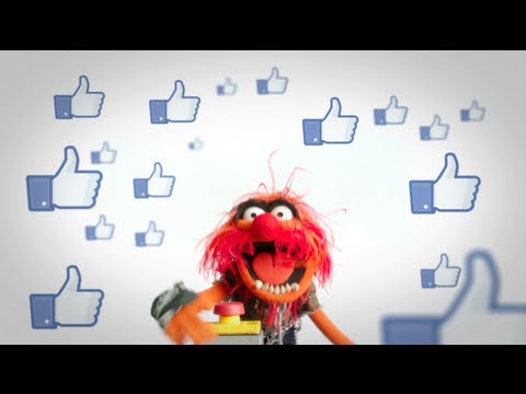 The Muppets (Viral Video 'Facebook Message: Animal')