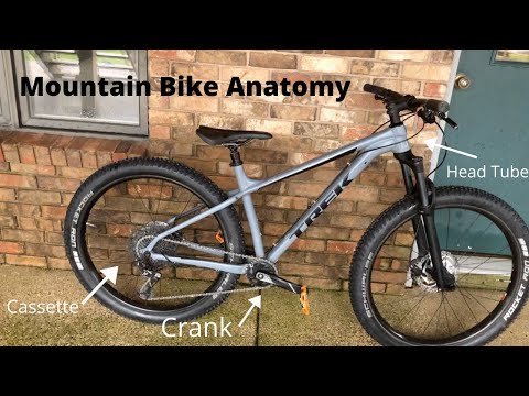 Mountain Bike Part Terminology // Bike Anatomy