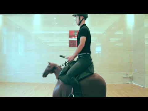 Horse riding machine display