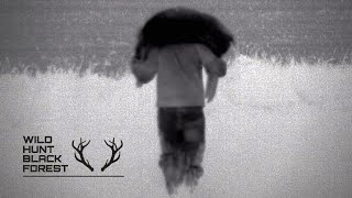 Nachtjagd im Mais mit der Wärmebildkamera