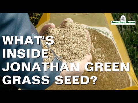 Jonathan Green 10316 Black Beauty Grass Seed 50-Pound 