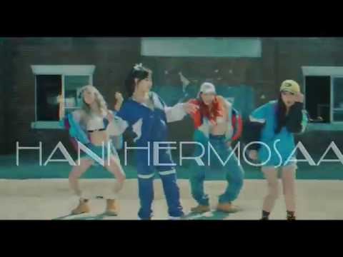 EXID LADY-fan boy version