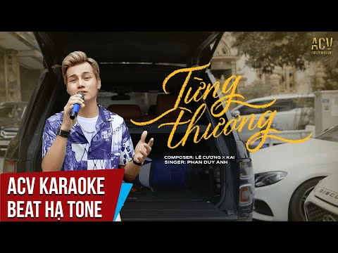 Karaoke | Từng Thương - Phan Duy Anh | Beat Hạ Tone