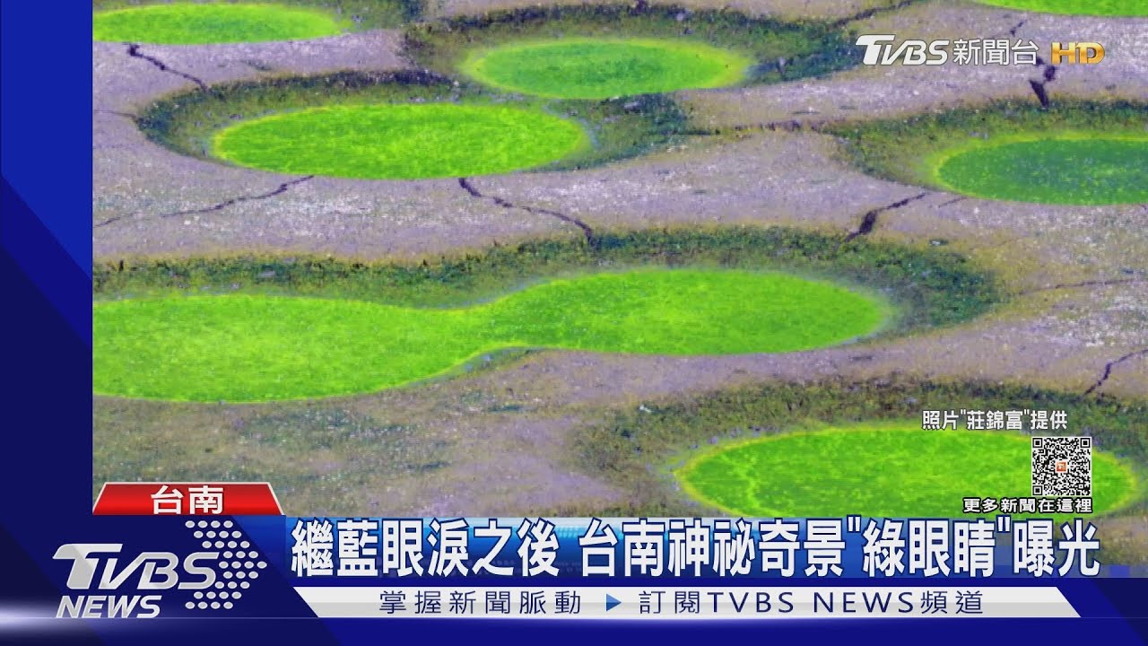 台南不僅有「藍眼淚」 還有神祕奇景「綠眼睛」