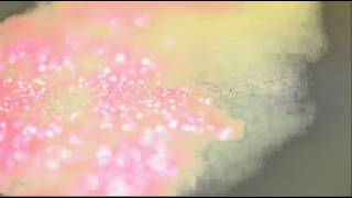 Love Never Fails - David Haas (lyrics)