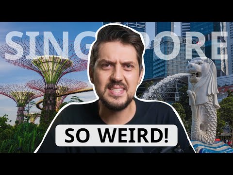 Weird Habits I've Adopted Living In Singapore! 🇸🇬🇺🇸🇬🇧 Expat life
