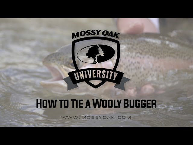 Essential Equipment to Get Started Fly Fishing - The Fly Fishing Basics
