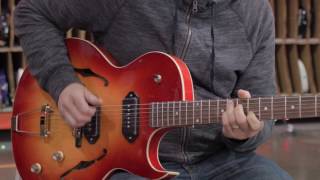 Video thumbnail for The Loar LH-302T by MIRC
