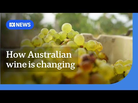 How climate change is making Australian wine growers adapt | ABC News