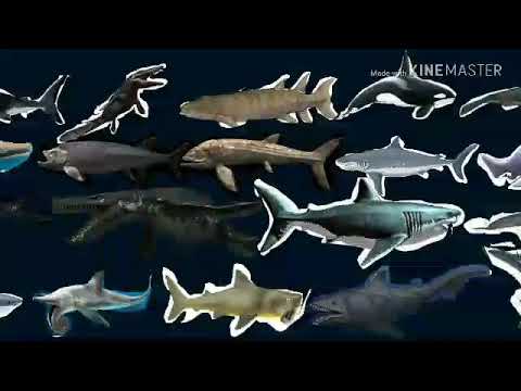 The ultimate sea monster tournament