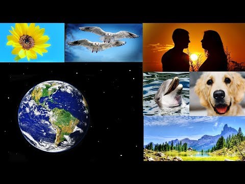 JW Song - Kingdom Melody 11 'Creation Praises God'