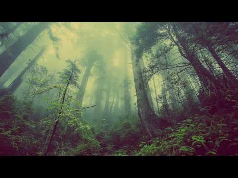 download lagu mp3 mp4 Vale Of Shadows, download lagu Vale Of Shadows gratis, unduh video klip Vale Of Shadows