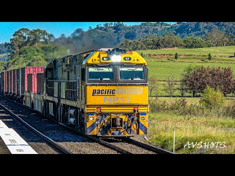 Pacific National's NR Class | Orange Endeavour | Xplorer |#MechanicalBell | Douglas Park | 4K