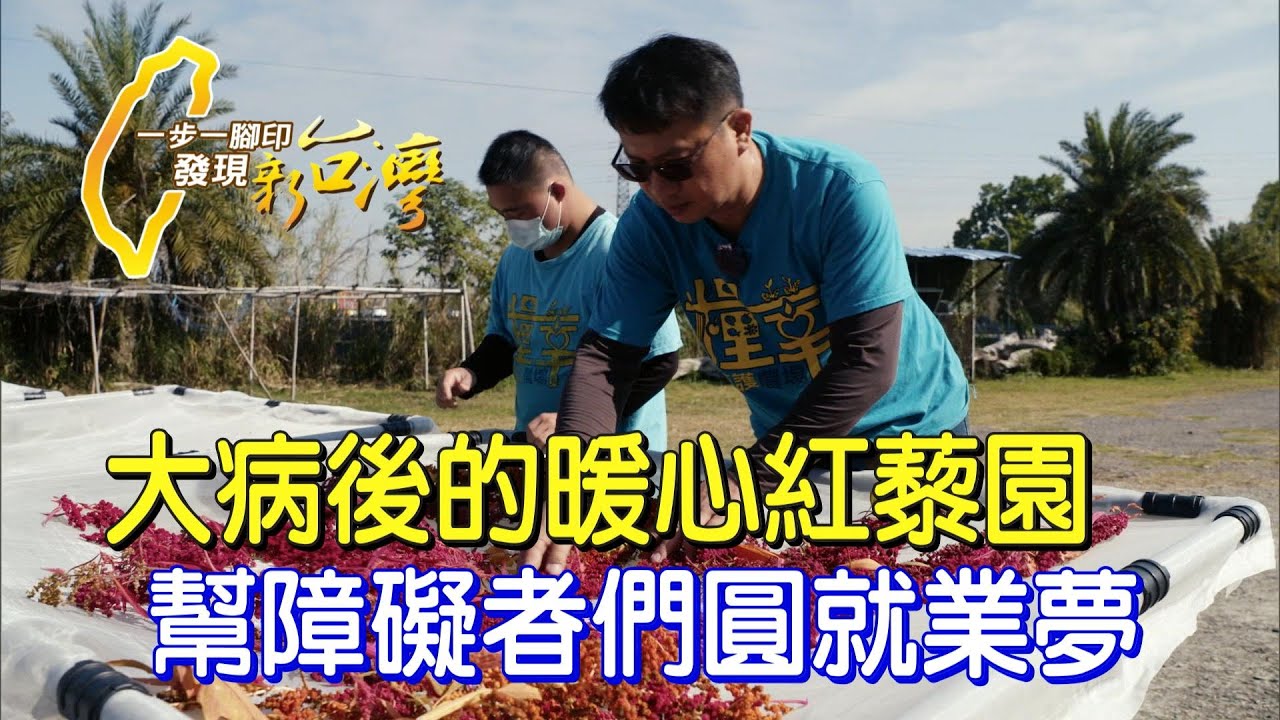 《一步一腳印》做好事情 好事會發生!肝病房仲在庇護農場找到健康!