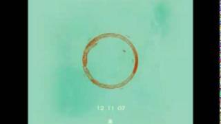 The Daydream - Tycho