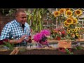 HBO LATINO PRESENTA SESAME STREET S47 2017 AVANCE DE EPISODIO 4719 HOUSE OF WORM
