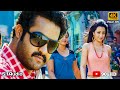O Lilly 4k Video Song Dhammu Movie Jr NTR Trisha Karthika Nair Boyapati Srinu