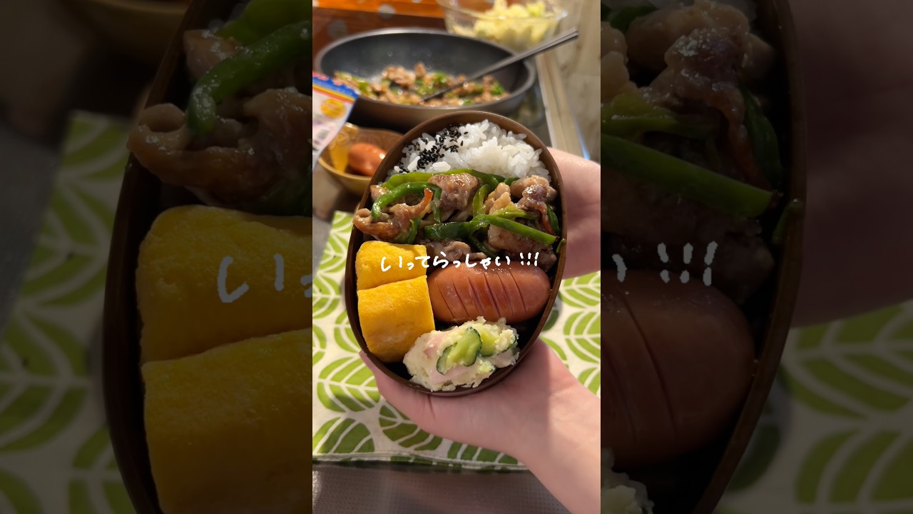 【不思議なウインナー】チンジャオのロースさん弁当#shorts #お弁当