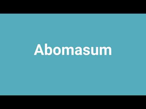 'Abomasum' Meaning and Pronunciation