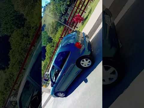 gol do Diego entre folhas mg