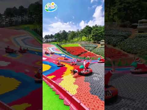 Video về Tour Đồi Cỏ Hồng Đà Lạt 1 ngày Với Trải Nghiệm Cực Đáng Nhớ