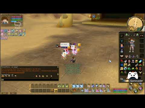 Insanity FlyFF Making +10 Set Thanks to oORoseOo